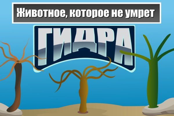 Кракен даркнет плейс