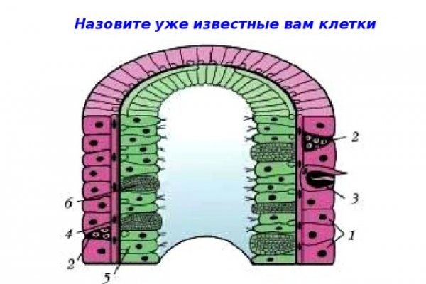 Кракен даркнет как зайти